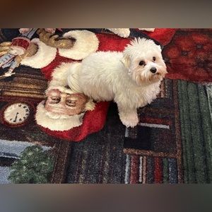 Meet your Posher, Charles